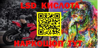 прущие грибы Новодвинск
