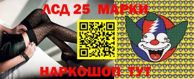 шишки Новозыбков