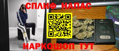 сатива Нарткала