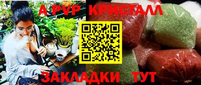 шишки Новозыбков