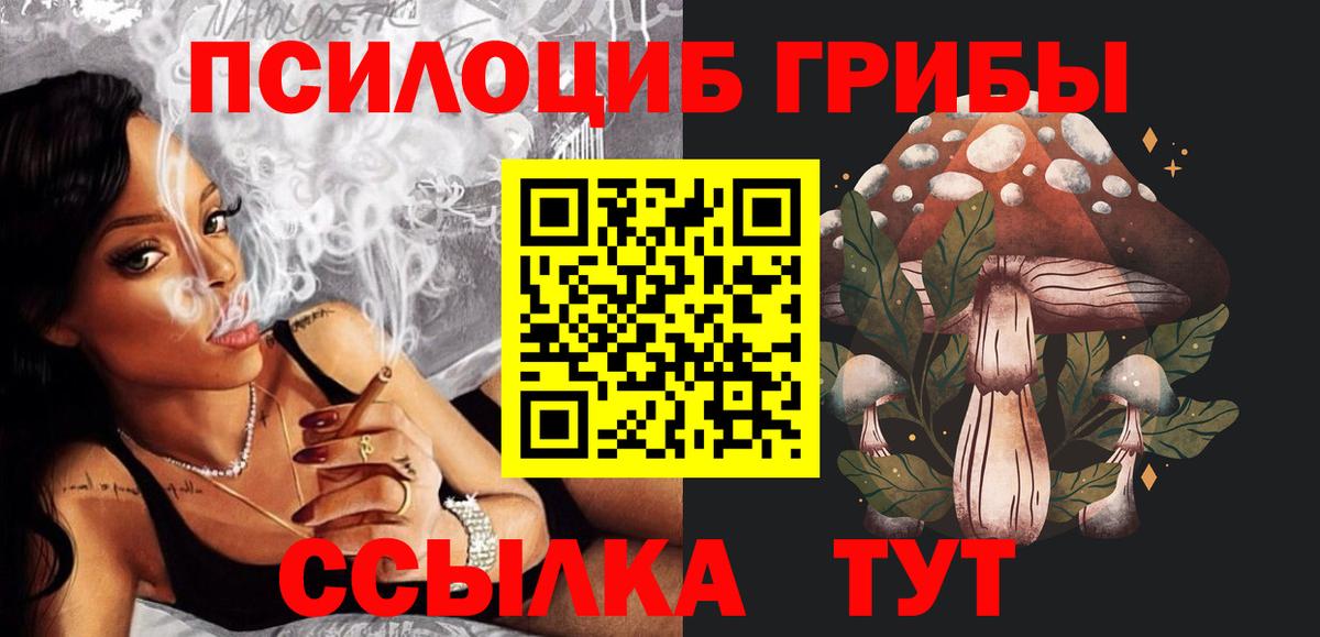Галлюциногенные грибы ЛСД  Галлюциногенные грибы Cubensis  Вход с VPN  Сунжа 