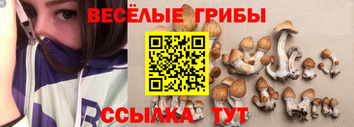 Галлюциногенные грибы Magic Shrooms Сунжа